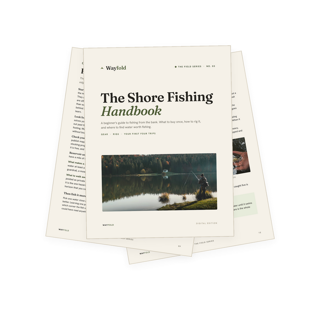 The Shore Fishing Handbook
