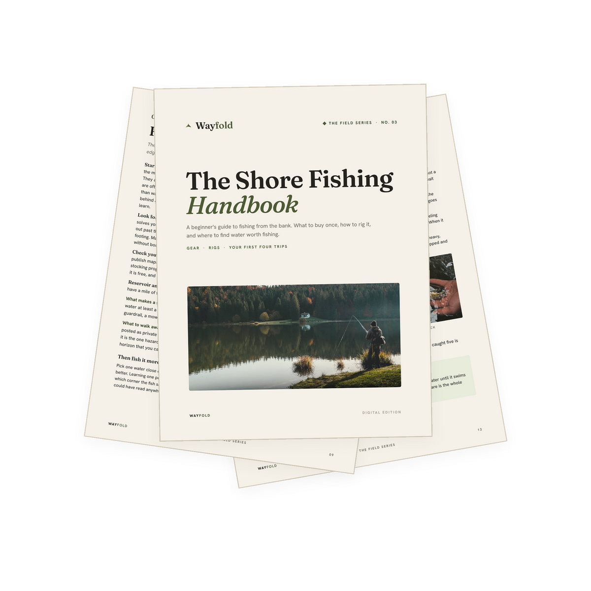 The Shore Fishing Handbook