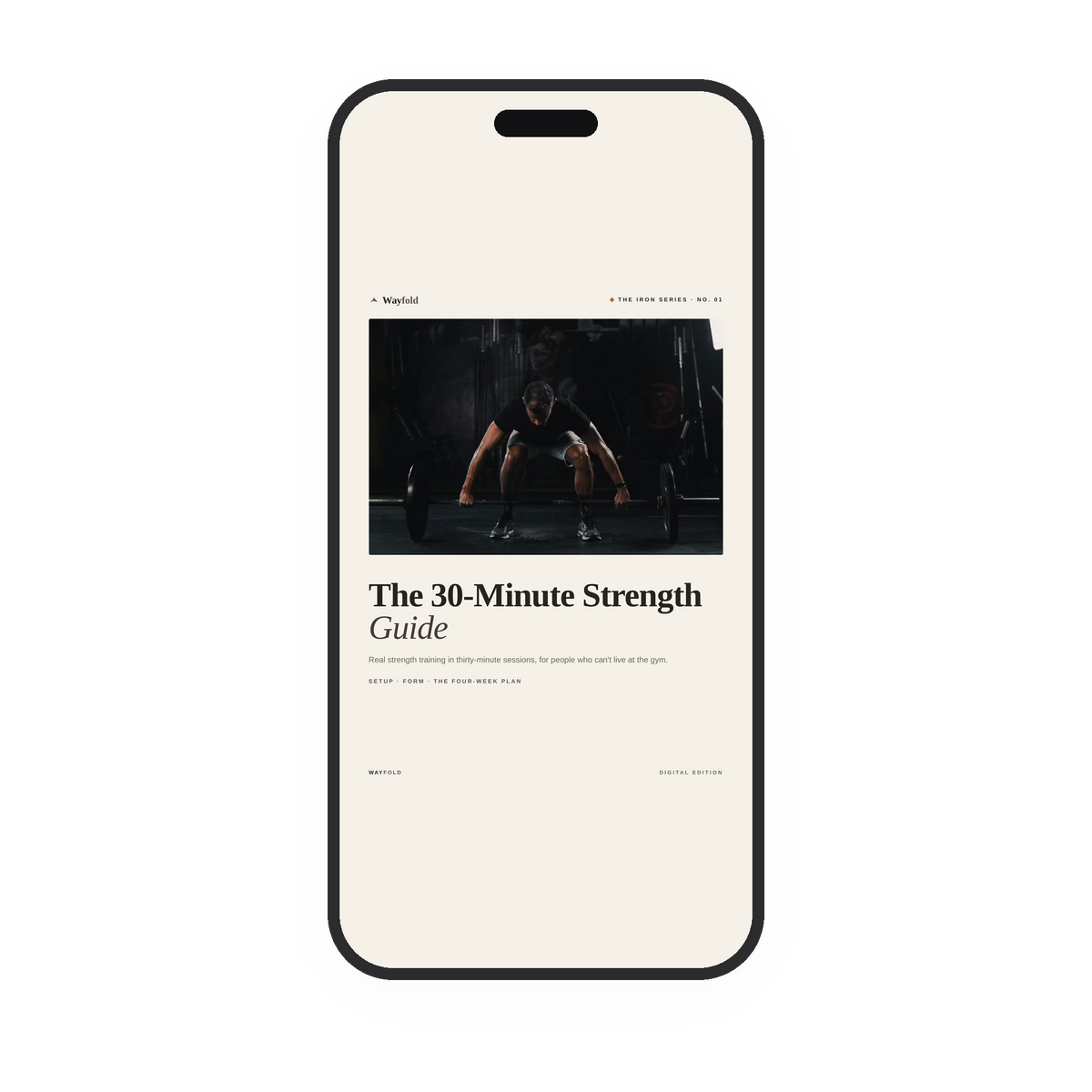 The 30-Minute Strength Guide