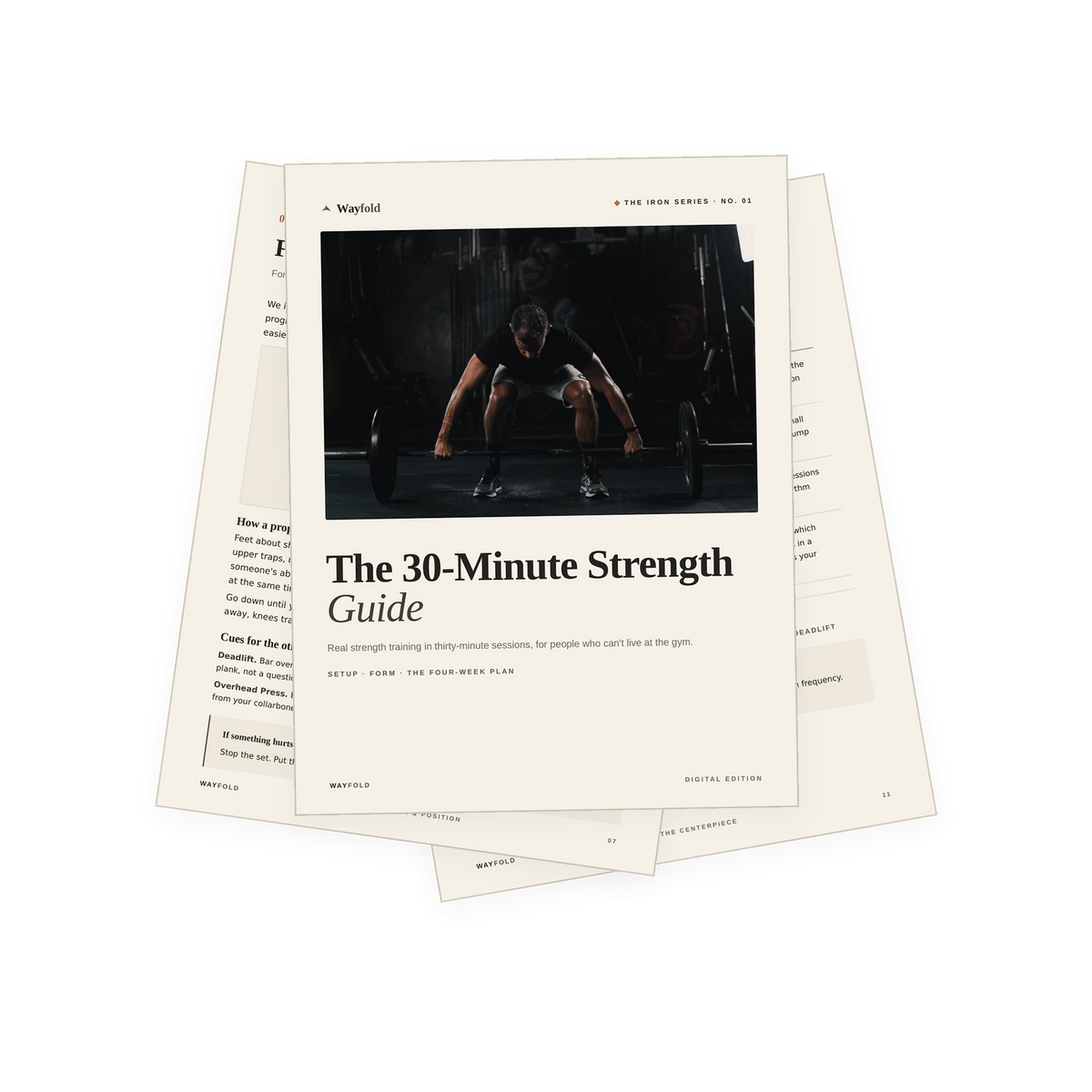 The 30-Minute Strength Guide