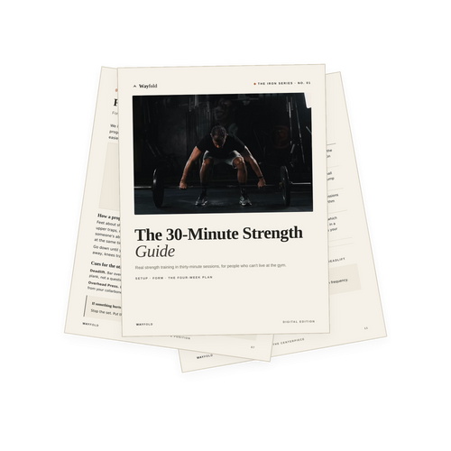The 30-Minute Strength Guide